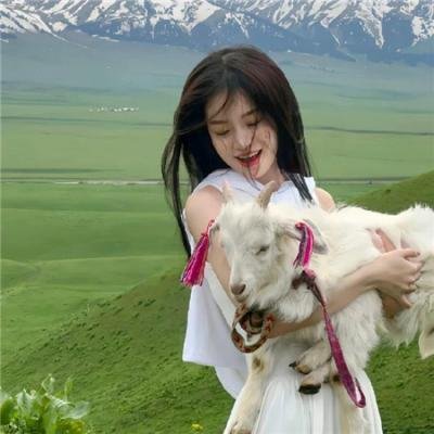 玫瑰物语